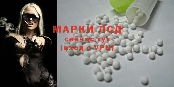 стаф Алексин