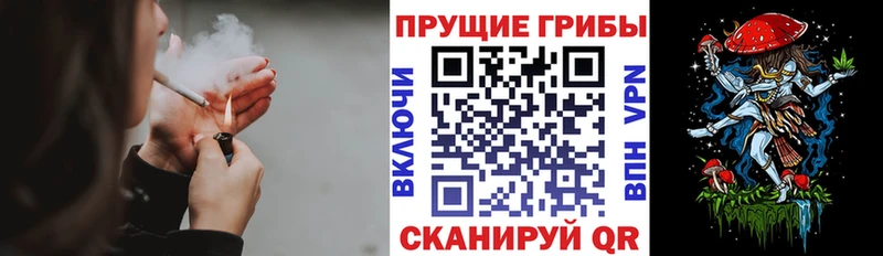 Галлюциногенные грибы прущие грибы  как найти закладки  Грязи 