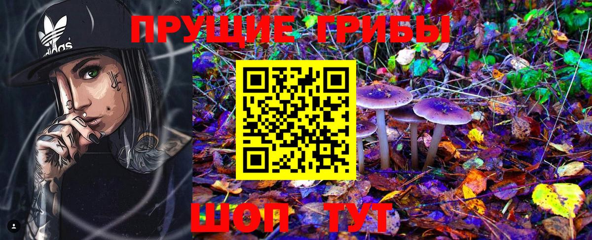 Псилоцибиновые грибы Psilocybe Грязи