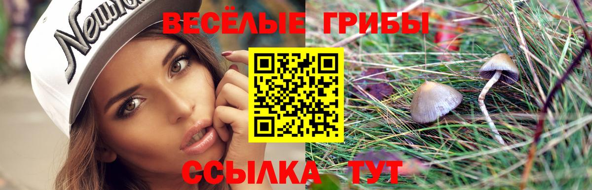 Грязи  Галлюциногенные грибы мицелий  Вход с VPN 