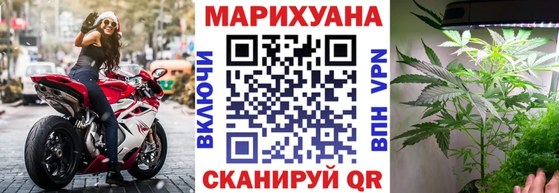 Конопля гибрид блэк спрут как зайти Грязи
